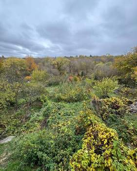 Дом 61м², 1-этажный, участок 11 сот.