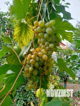 Дом 136м², 2-этажный, участок 4 сот.