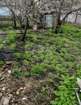 Дом 60м², 2-этажный, участок 4 сот.