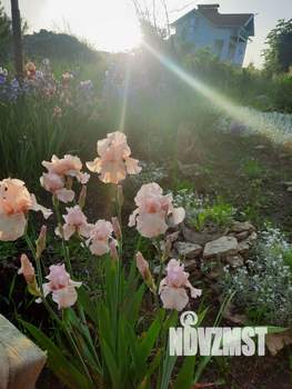 Дом 70м², 2-этажный, участок 8 сот.