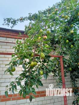 Дом 136м², 2-этажный, участок 4 сот.