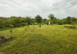 Дом 42м², 2-этажный, участок 24 сот.