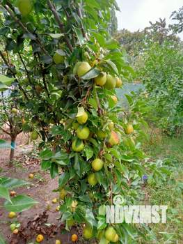 Дом 136м², 2-этажный, участок 4 сот.