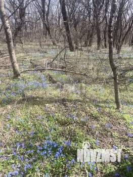 Дом 120м², 2-этажный, участок 5 сот.