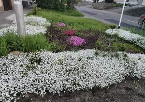 Дом 60м², 1-этажный, участок 5 сот.