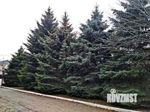 Дом 1500м², 3-этажный, участок 18 сот.  