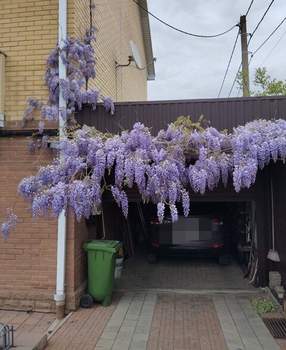 Дом 151м², 2-этажный, участок 3 сот.  