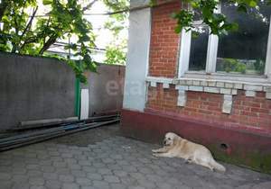 Дом 119м², 1-этажный, участок 4 сот.  