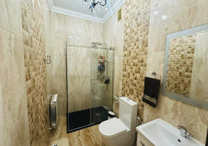 Дом 211м², 2-этажный, участок 3 сот.  