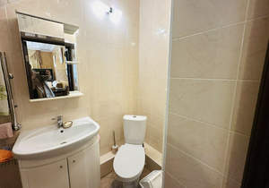 Дом 233м², 2-этажный, участок 3 сот.  