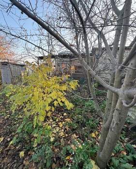 Дом 41м², 1-этажный, участок 3 сот.  