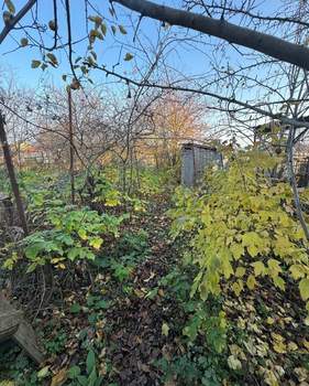 Дом 41м², 1-этажный, участок 3 сот.  