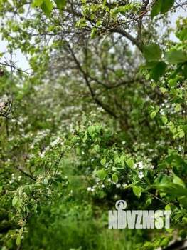 Дом 17м², 1-этажный, участок 8 сот.  