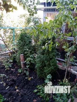 Дом 200м², 2-этажный, участок 4 сот.  