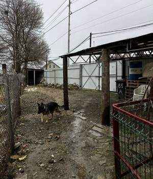 Дом 50м², 1-этажный, участок 4 сот.  