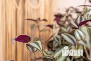 1-к квартира, посуточно, 37м2, 4/16 этаж