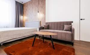 1-к квартира, на длительный срок, 47м2, 9/10 этаж