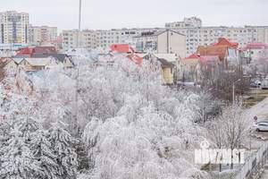 Фото квартиры в аренду (2)