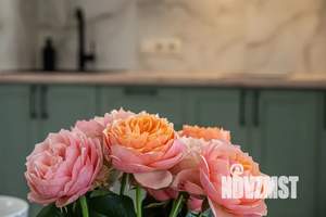 Студия квартира, посуточно, 38м2, 11/14 этаж