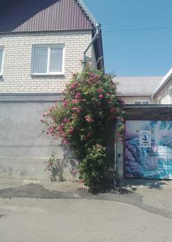 Фото квартиры на продажу (1)