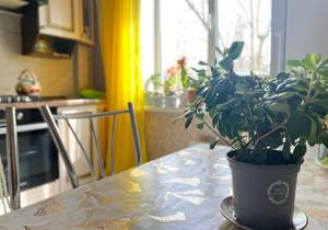 2-к квартира, вторичка, 55м2, 3/10 этаж
