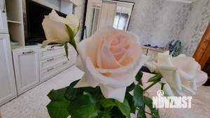 2-к квартира, вторичка, 35м2, 1/1 этаж