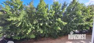 1-к квартира, вторичка, 31м2, 2/12 этаж