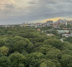 3-к квартира, вторичка, 76м2, 14/16 этаж