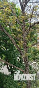 3-к квартира, вторичка, 55м2, 3/5 этаж