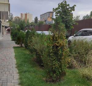2-к квартира, вторичка, 66м2, 10/10 этаж