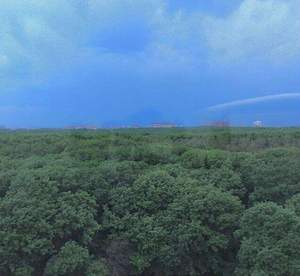 4-к квартира, вторичка, 65м2, 9/9 этаж