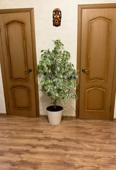 2-к квартира, вторичка, 50м2, 5/12 этаж