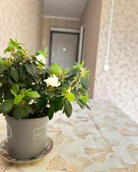 2-к квартира, вторичка, 55м2, 3/10 этаж