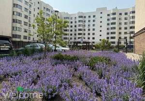 2-к квартира, вторичка, 71м2, 1/8 этаж