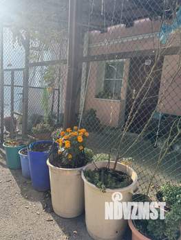 1-к квартира, вторичка, 21м2, 2/2 этаж