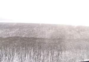 1-к квартира, вторичка, 37м2, 15/18 этаж