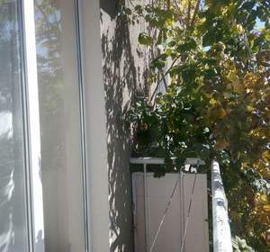 1-к квартира, вторичка, 34м2, 4/5 этаж