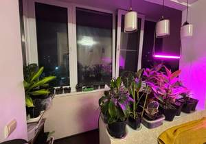 2-к квартира, вторичка, 54м2, 4/9 этаж